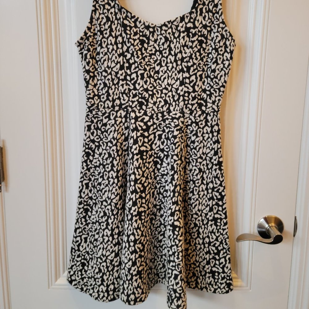 Express Black and White A line Dress